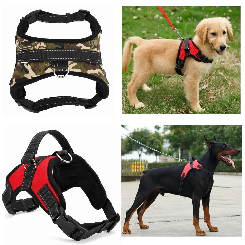 Adjustable Dog Harness